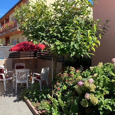 Kuca Eda Villa Pula Bagian luar foto